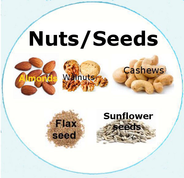 plate circle nuts.jpg